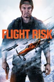 Flight Risk (2025) Dual Audio [Hindi ORG & ENG] WEB-DL 480p, 720p
