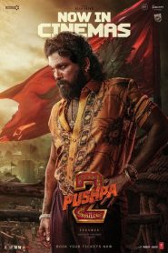Pushpa 2 – The Rule – Reloaded (2024) Official EXTENDED [Extra 30 Mins] Dual Audio [Hindi ORG & Telugu] ORG NETFLIX WEB-DL 480p, 720p & 1080p |